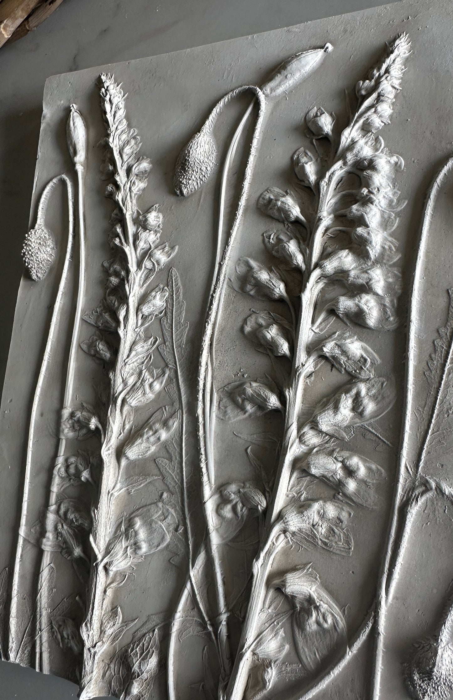 Foxglove and Poppy Cast