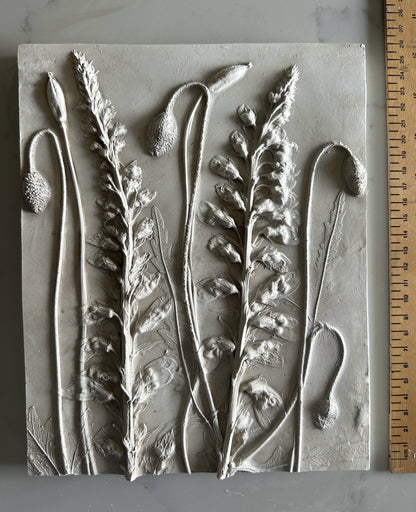 Foxglove and Poppy Cast