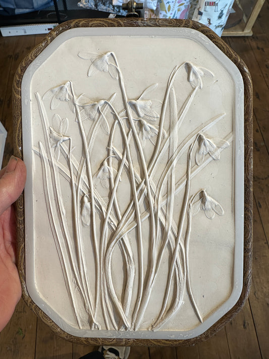 Large Framed Snowdrop