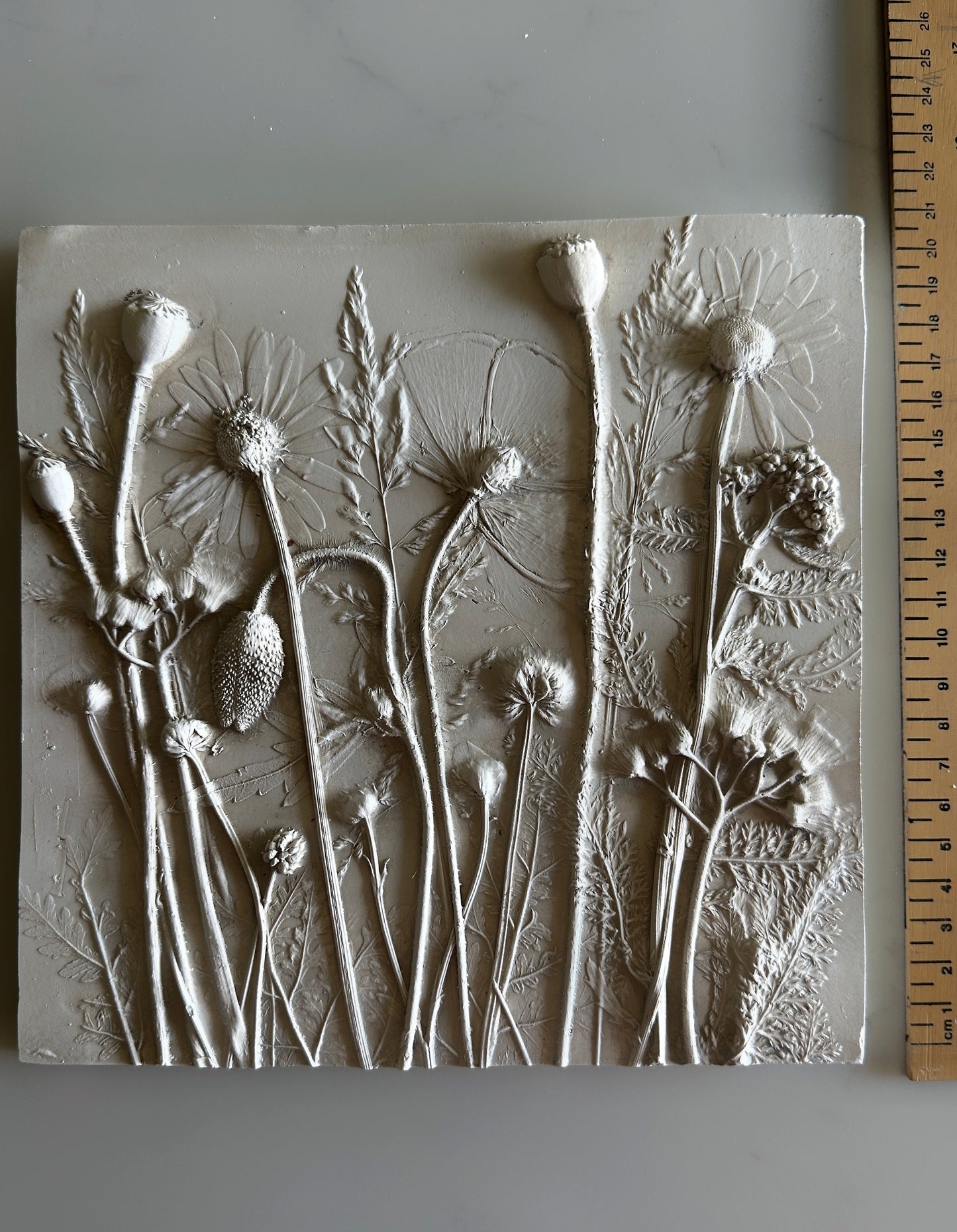 Wild Flowers