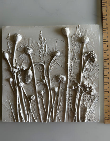 Wild Flowers