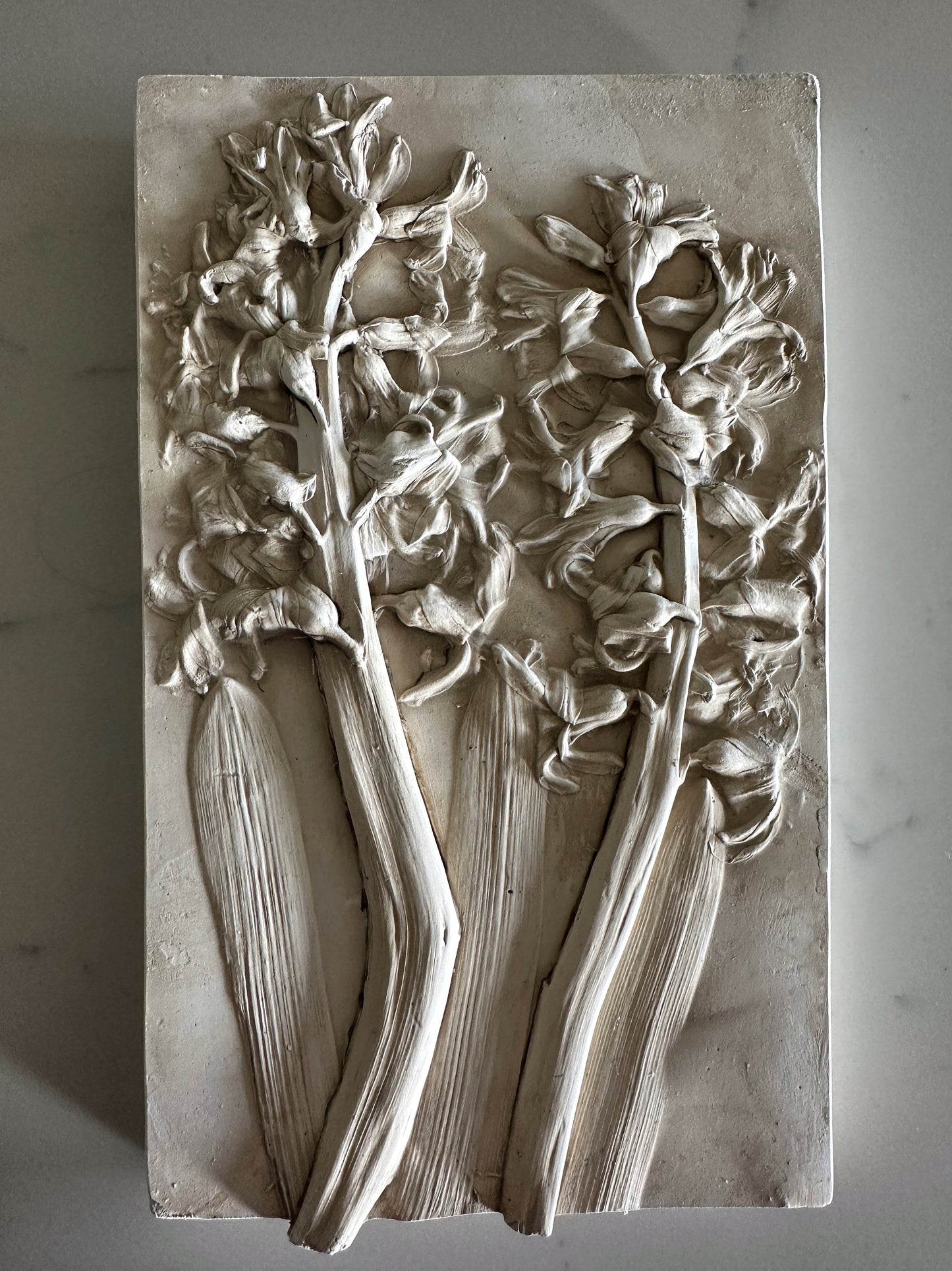 Hyacinth Cast