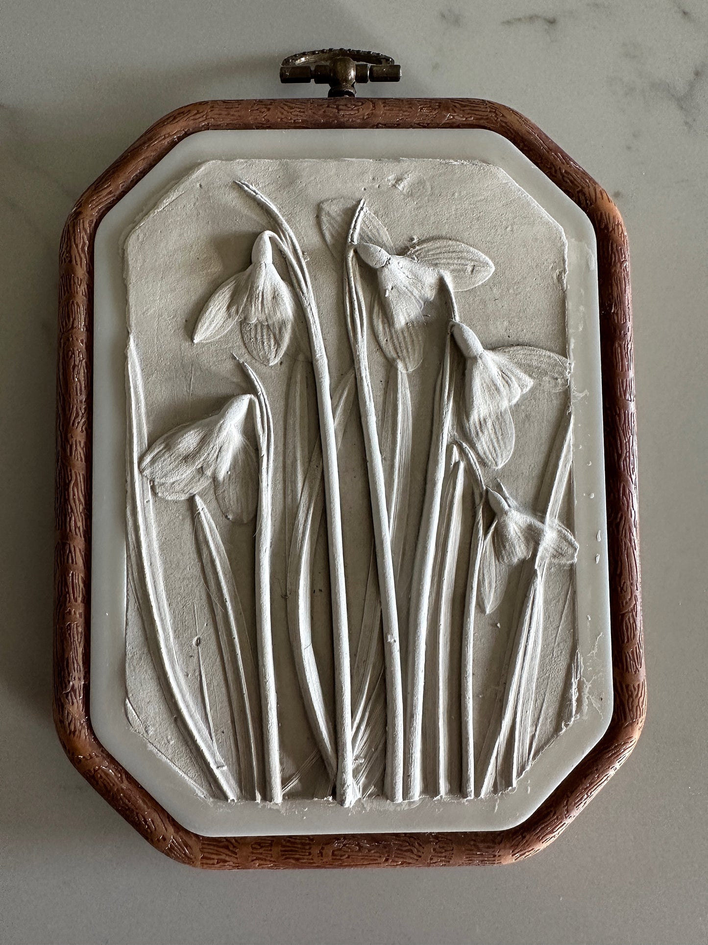 Snowdrop in frame Cast