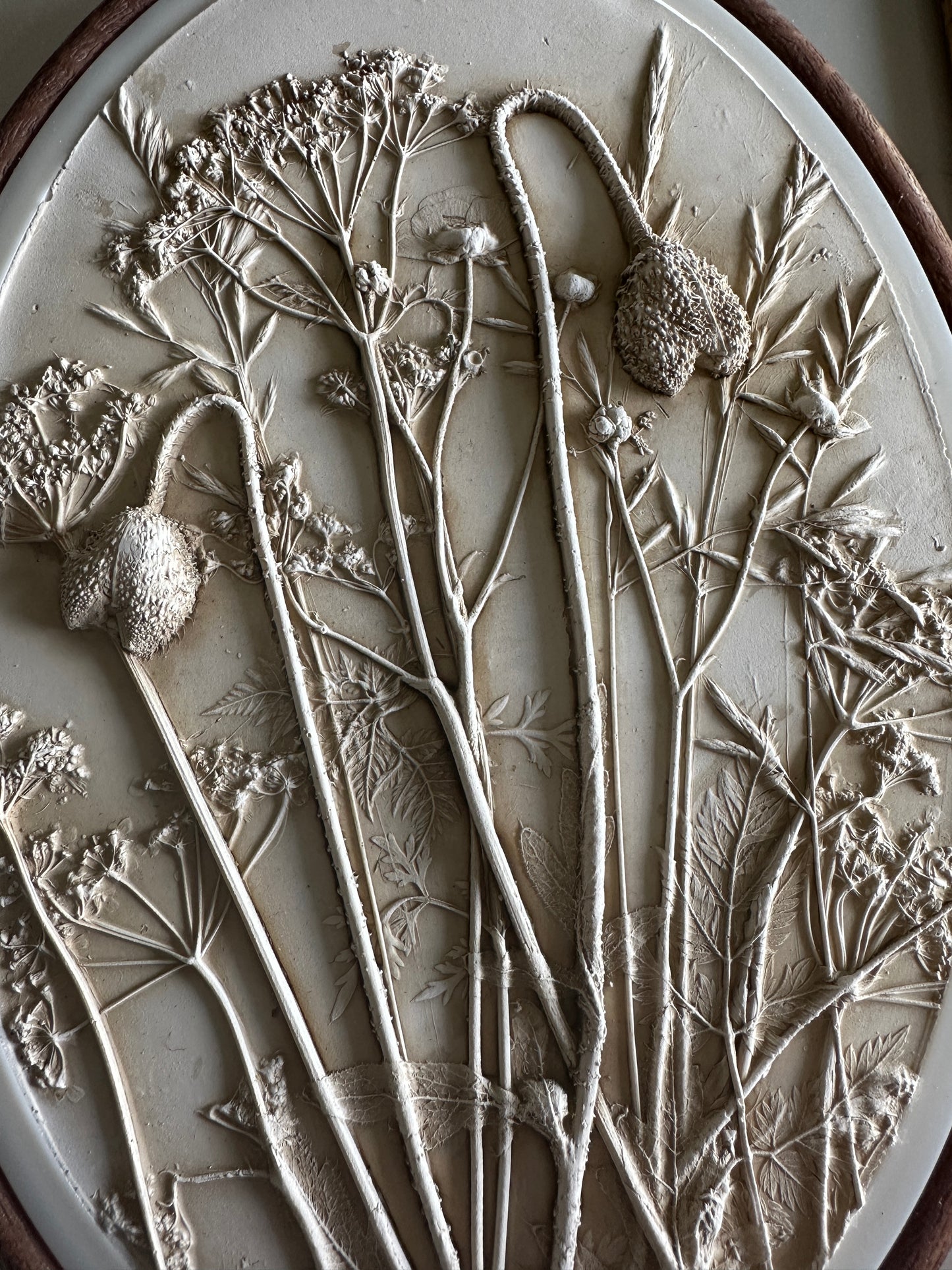 Meadow Botanical Cast