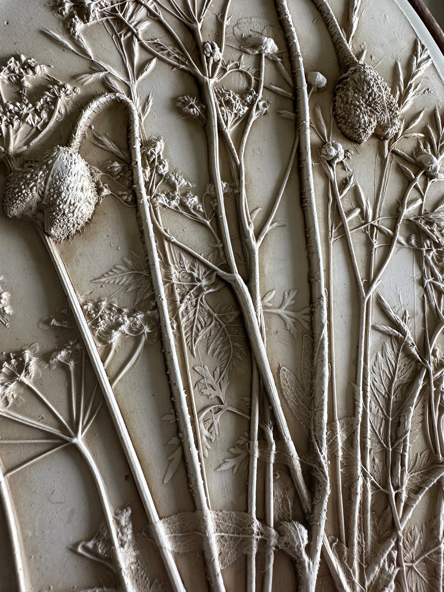 Meadow Botanical Cast