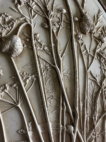 Meadow Botanical Cast